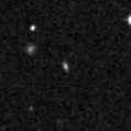 2023enf_image