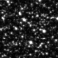 2023enj_image