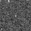 2023evq_image