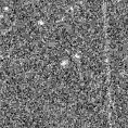 2023fas_image