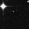 2023ffl_image