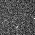 2023ffp_image