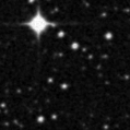 2023fid_image