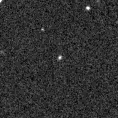 2023fii_image