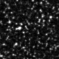 2023fir_image