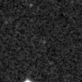 2023fjj_image