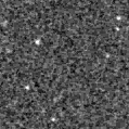 2023fkk_image