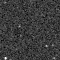 2023flc_image