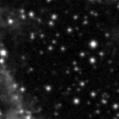 2023flm_image