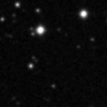2023fln_image