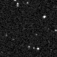 2023flo_image