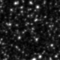 2023fnl_image