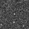 2023fox_image