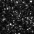 2023fqi_image