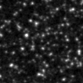2023fqn_image