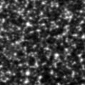 2023ftn_image