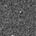 2023fvo_image