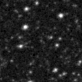 2023gcb_image