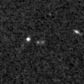 2023gco_image