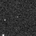 2023gox_image