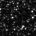 2023gqf_image