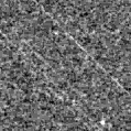 2023has_image