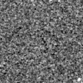 2023hfs_image