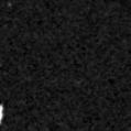 2023hfw_image