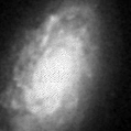 2023hlf_image