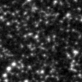2023hnf_image