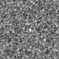 2023hoq_image