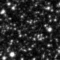 2023hqd_image