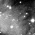 2023hua_image