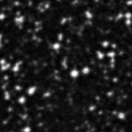 2023hxd_image