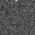 2023ibr_image