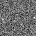 2023ieo_image