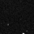 2023ijc_image