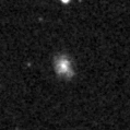 2023ilh_image