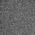 2023ipm_image