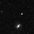 2023ipp_image