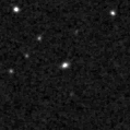 2023izn_image