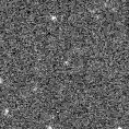 2023izw_image