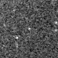 2023jft_image