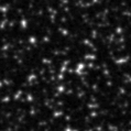 2023jki_image