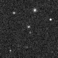 2023joa_image