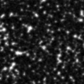2023jsp_image