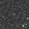 2023jxw_image