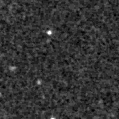 2023jyc_image