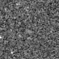 2023kgl_image
