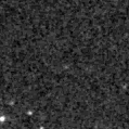 2023lf_image